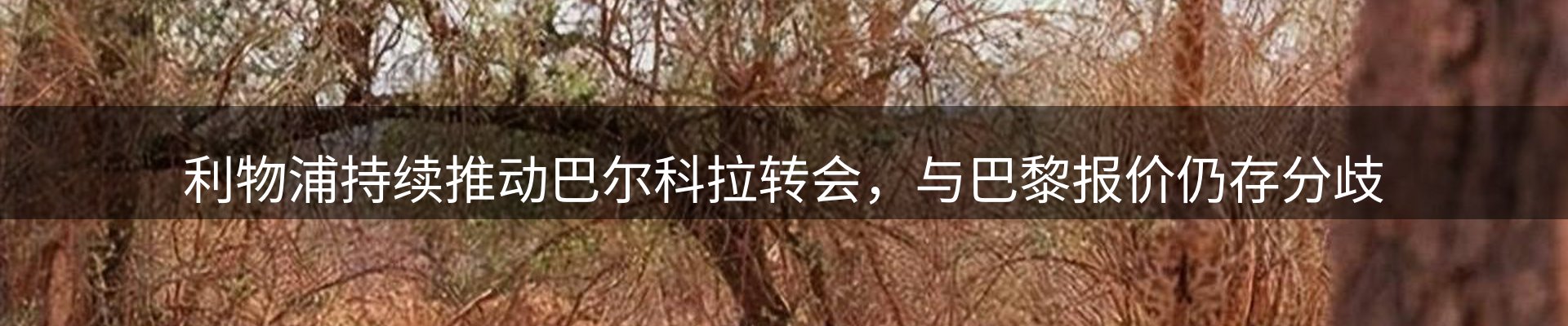 行业资讯