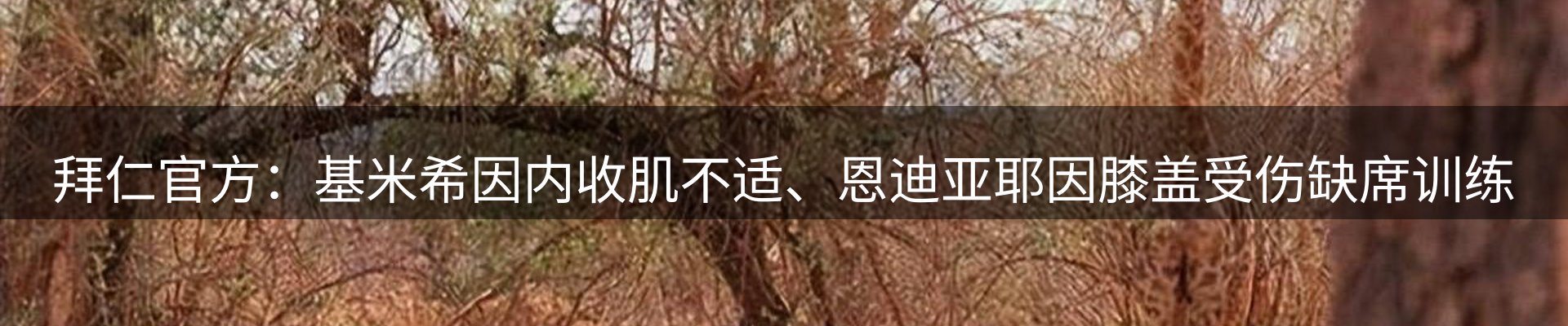 行业资讯