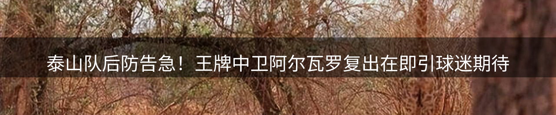 行业资讯