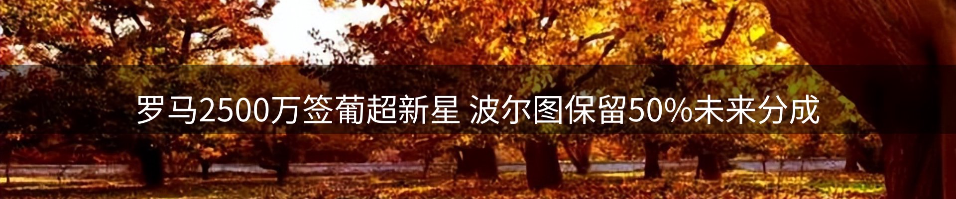 行业资讯